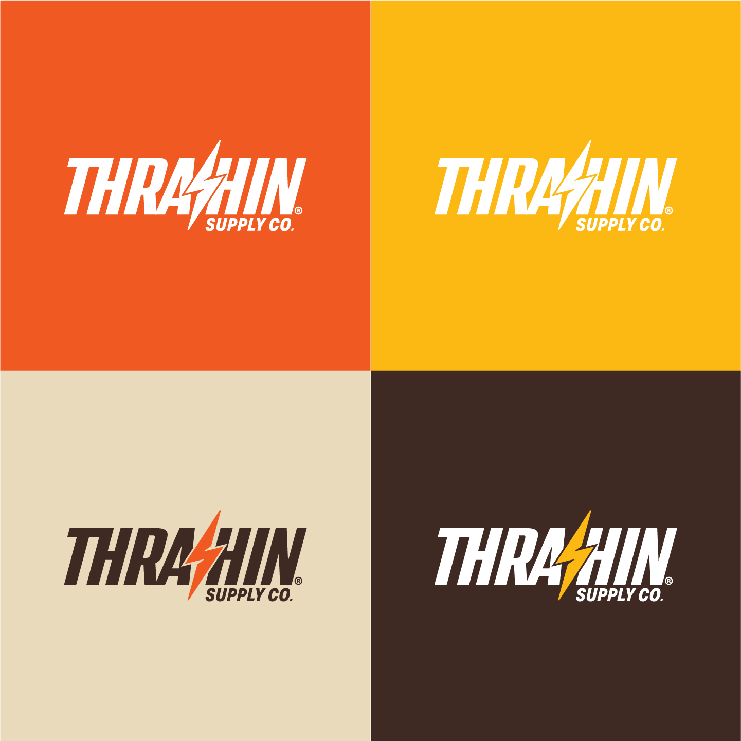 Thrashin_Project_Build-03