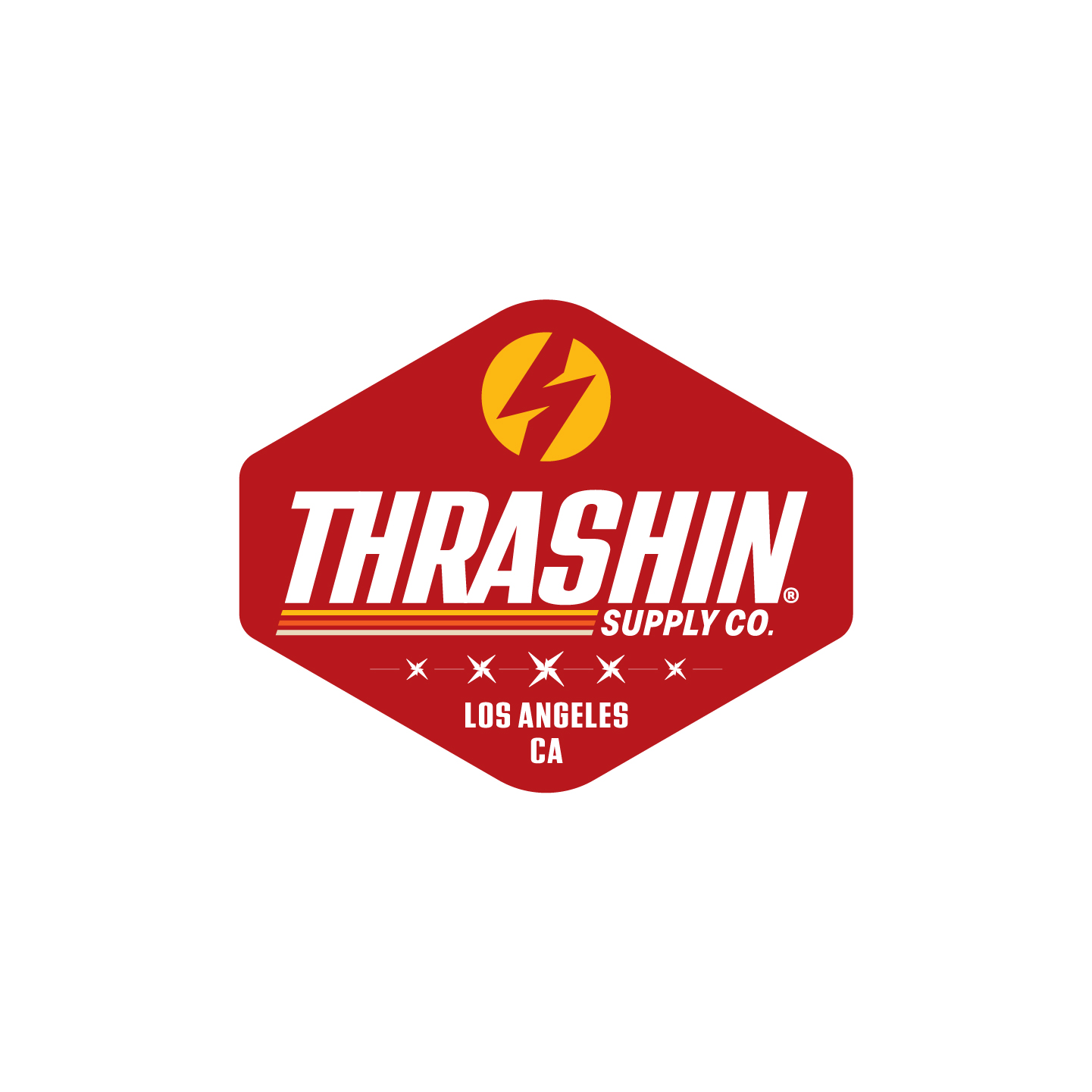Thrashin_Project_Build-21